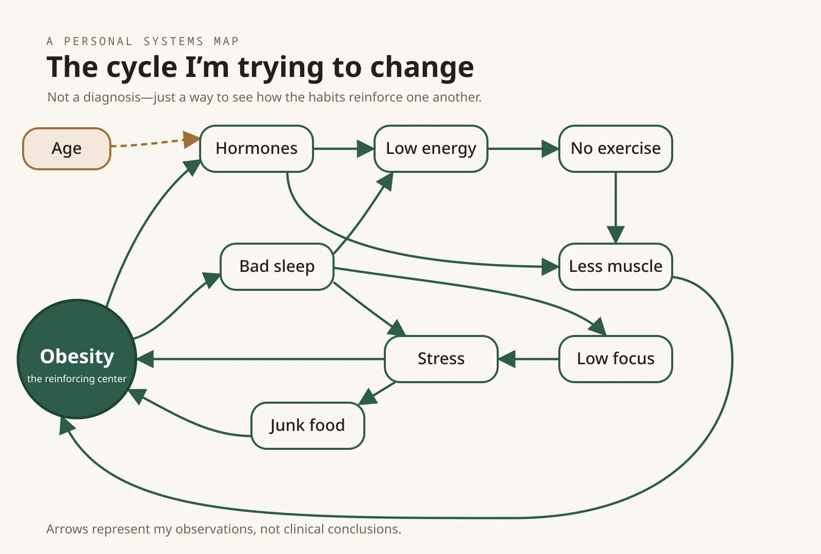 A systems map titled "The cycle I'm trying to change", with arrows showing how age, hormones, bad sleep, low energy, low focus, stress, junk food, no exercise, less muscle and obesity feed into one another.